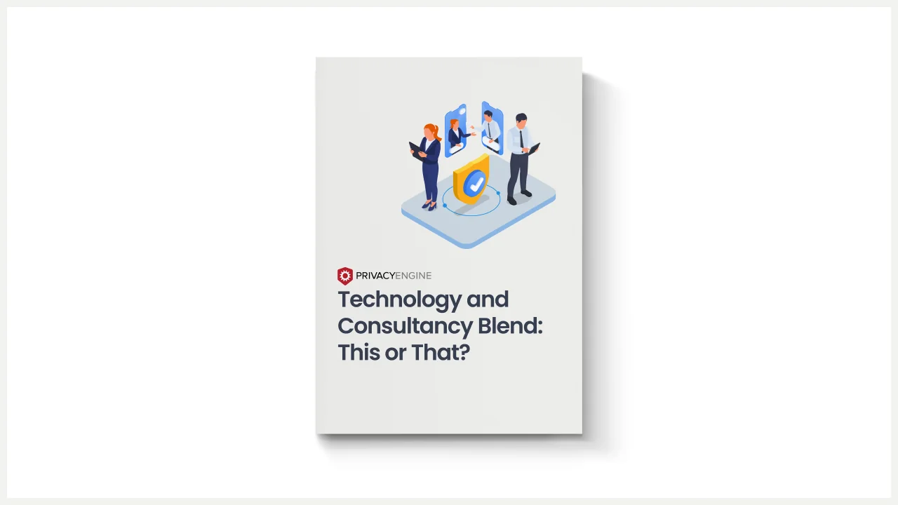 Download thumbnail for Technology and Consultancy Blend: This or That?